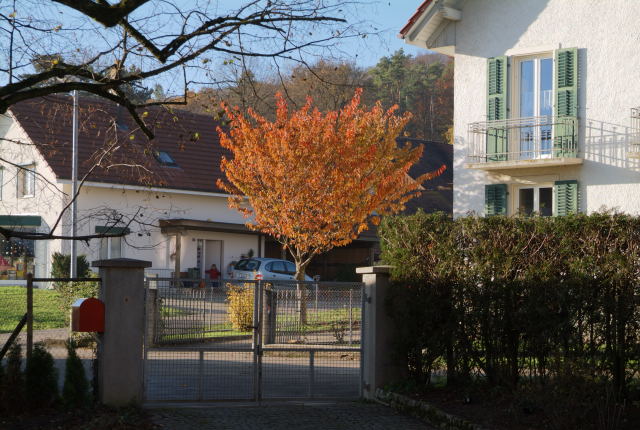 Bild