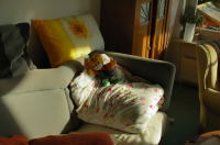 NikonCapture_D70_DLighting -1